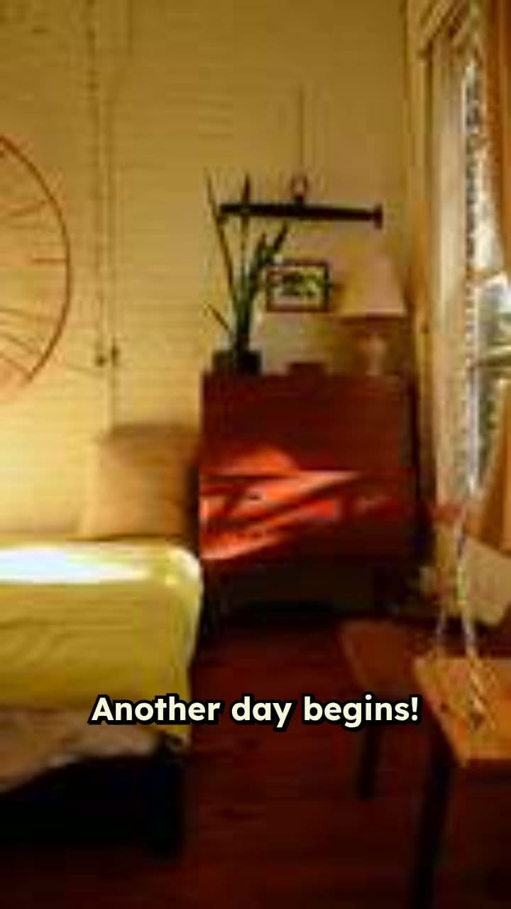 A Dog's Mischievous Morning