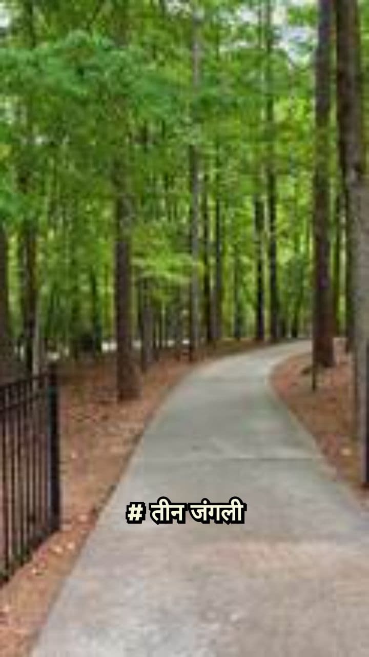 तीन जंगली दोस्तों की कहानी