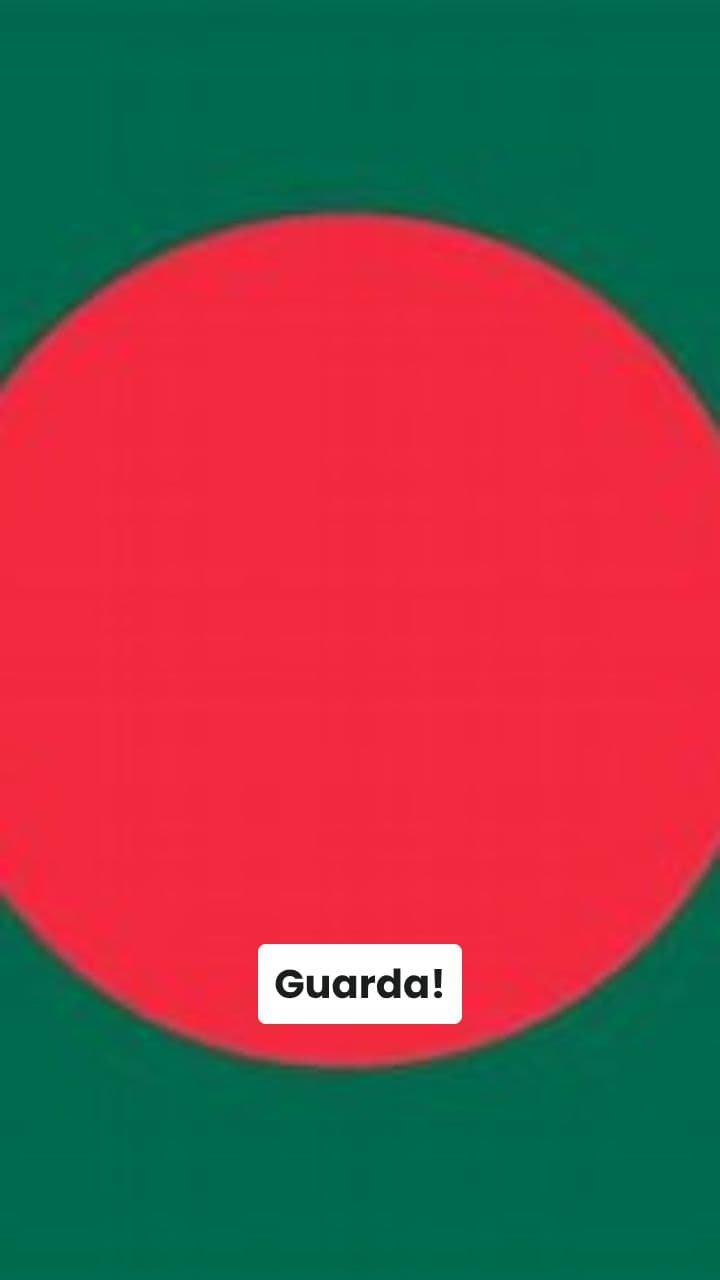 Magolasi Coccodrillo: L'Avventura Bandiera