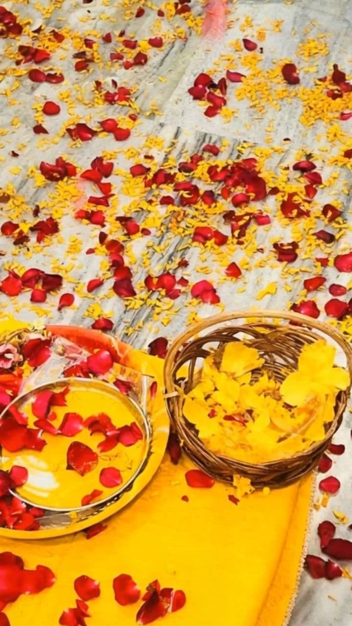 Image transform video