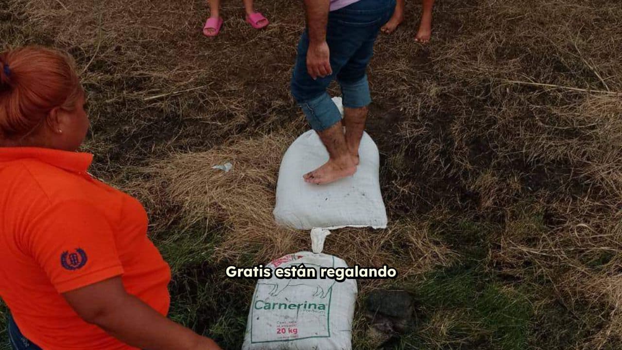 Inversión comunitaria en México: cemento y molinos