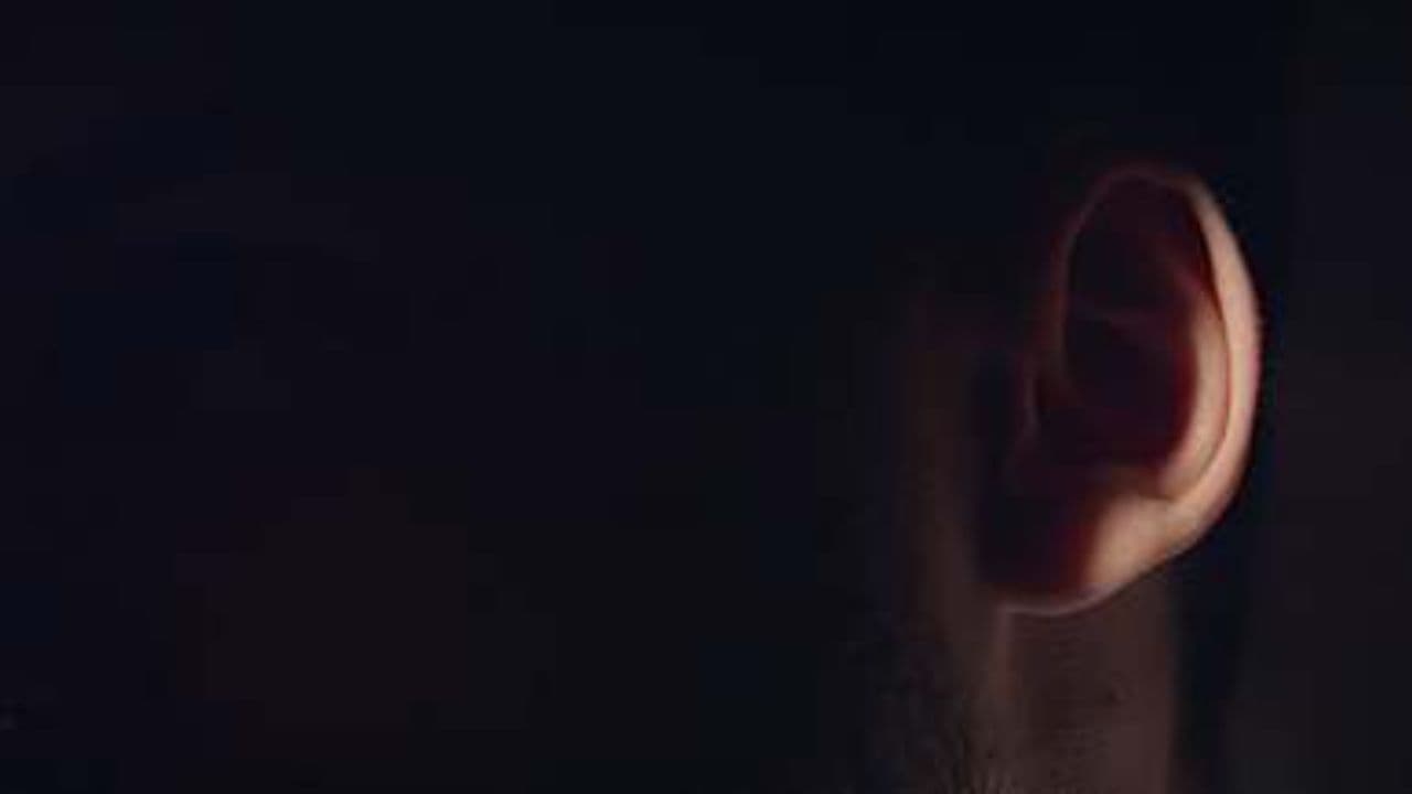 Where the Monsters Are