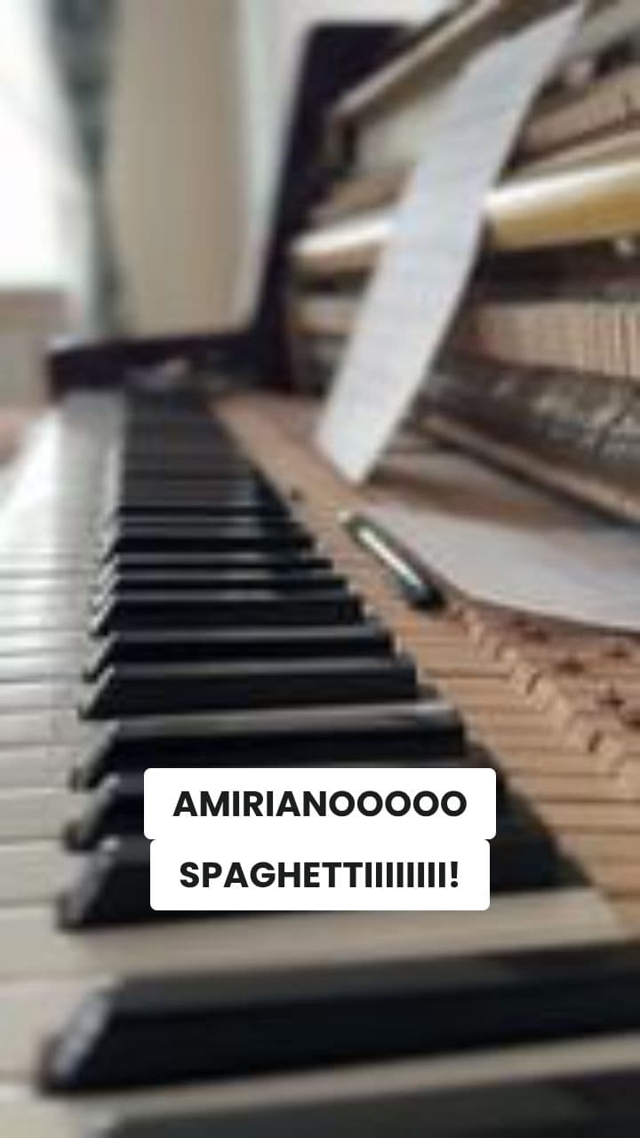 Francirco il Clownino del Piano