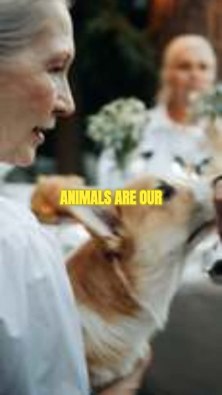 Animals: Our Best Friends