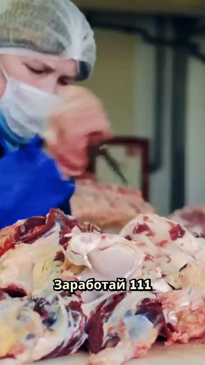 Работа на Микояновском мясокомбинате