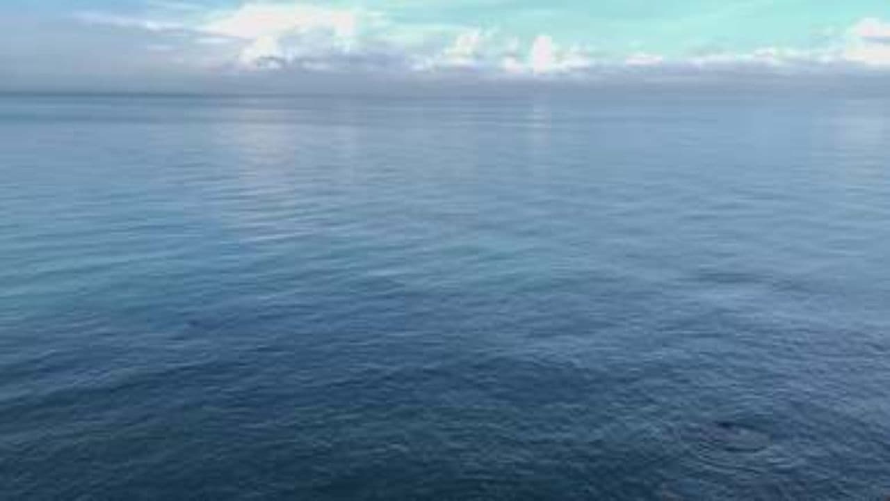 একদিন হব আকাশের চাঁদ