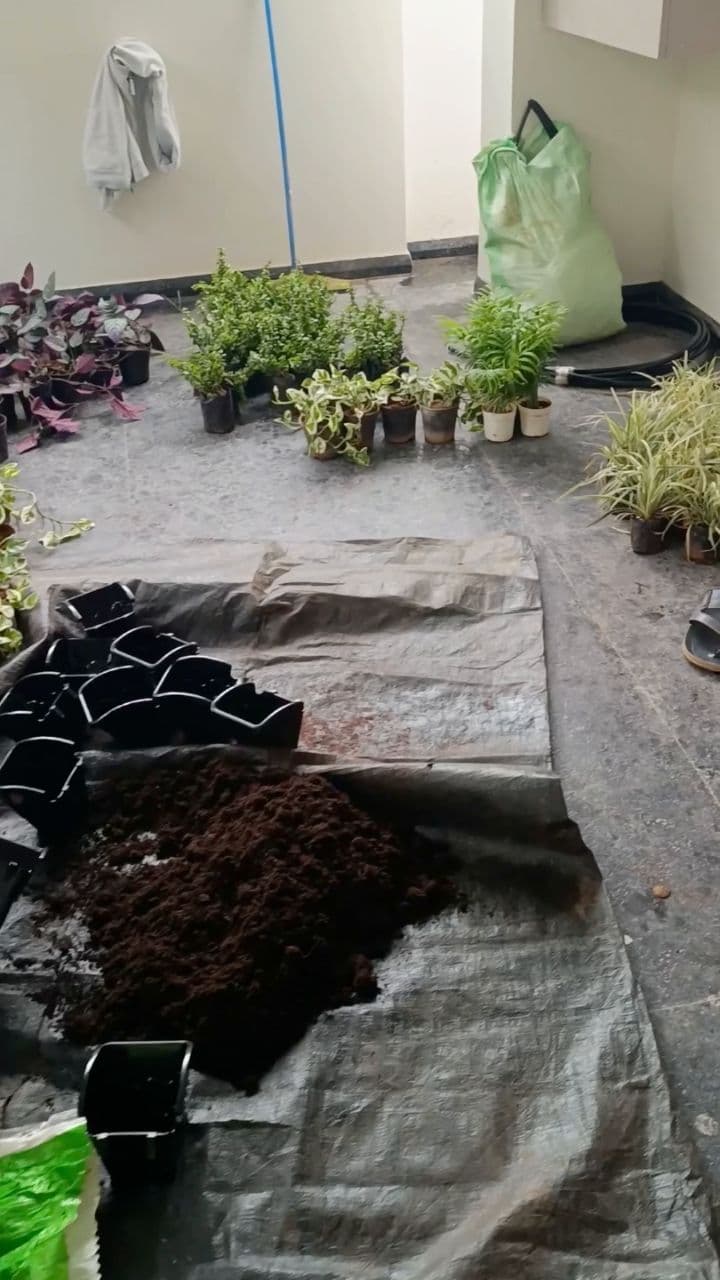 Transform Your Space with Green Deck