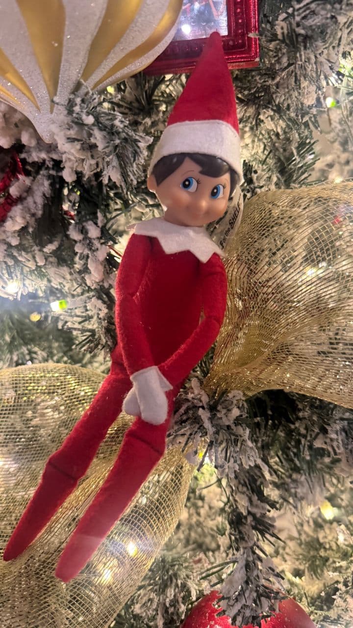 La Despedida Mágica del Elfo