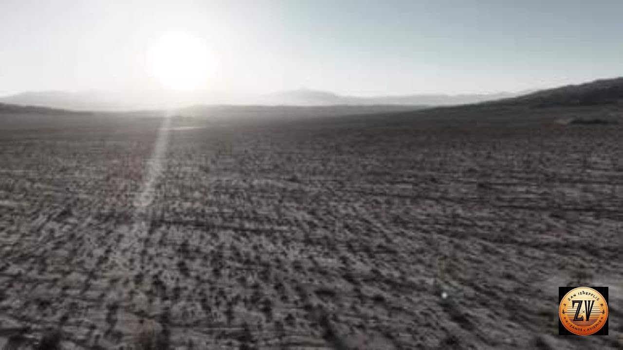 Brothers Against War