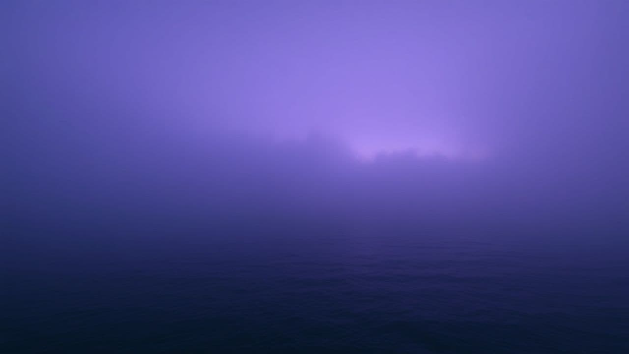 I Belong to the Light