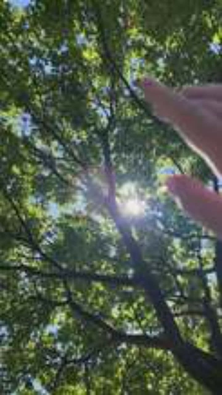 Ve donde hay luz y claridad