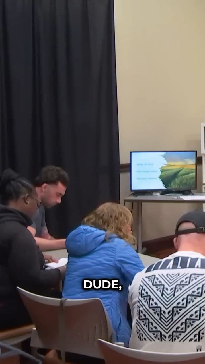 Paddington Bear and Pitbull's Cousin