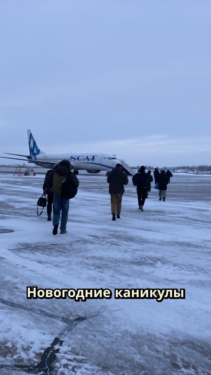 Успешные новогодние каникулы