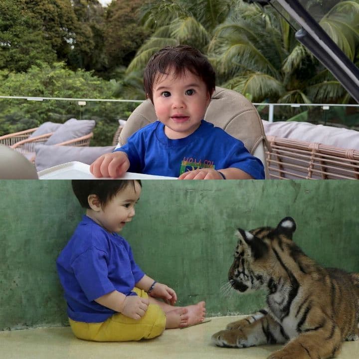 Tigri e street food a Phuket