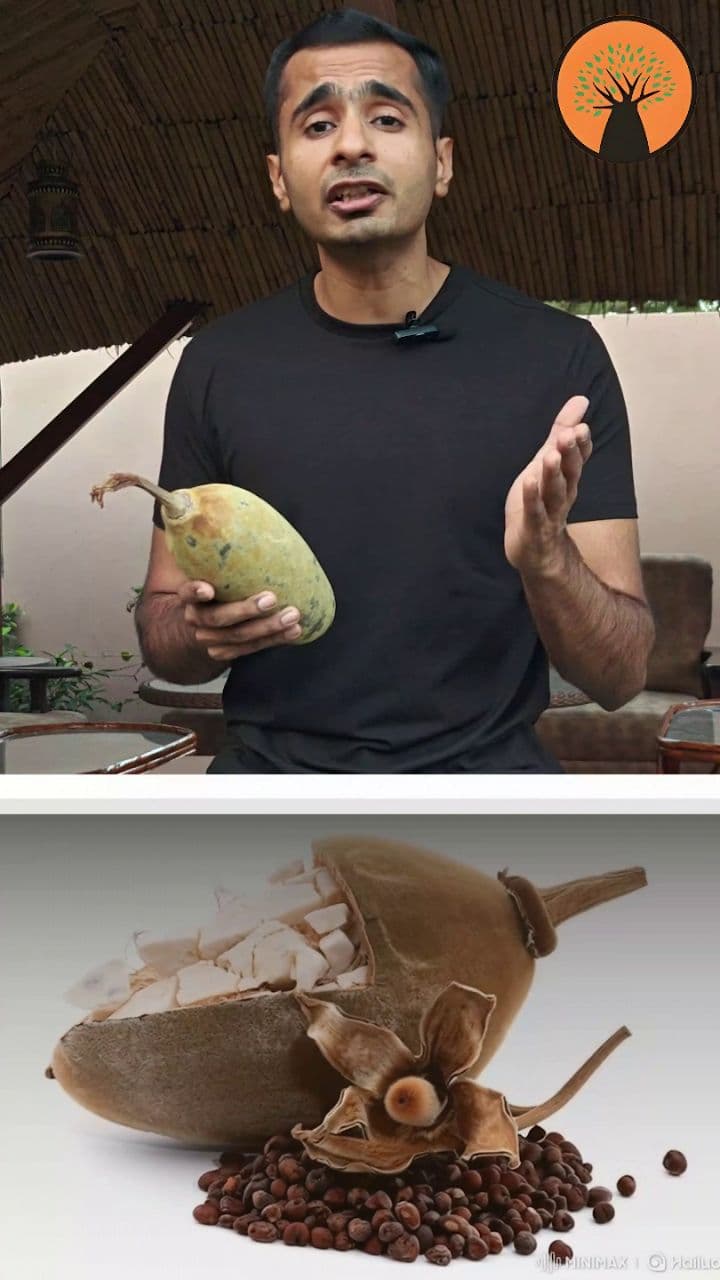 Baobab: The Ultimate Gut Health Solution