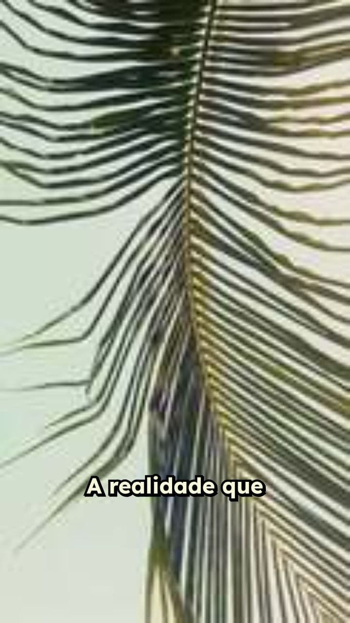 A Realidade Que Ninguém Te Contou
