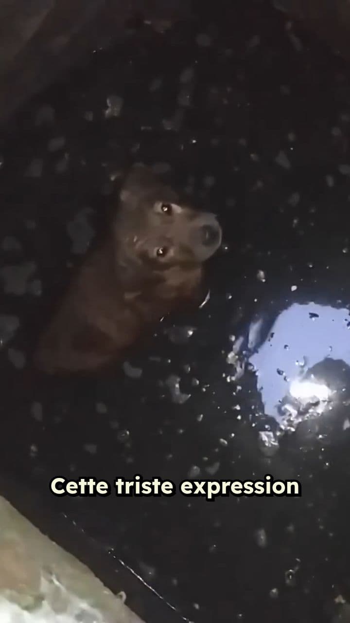 Protéger les plus vulnérables