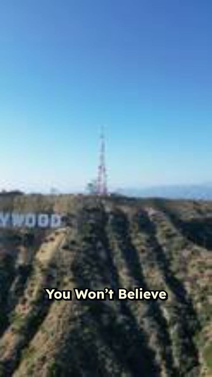 Celebrity Transformations That Shocked Fans