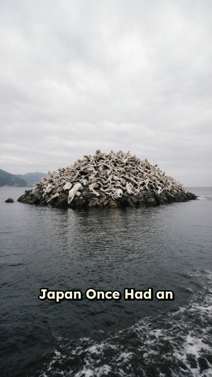Island of Whale Bones in Japan