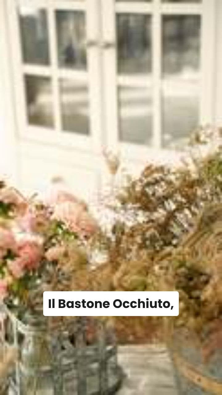 La Battaglia Più Assurda: Bastone vs Squalo