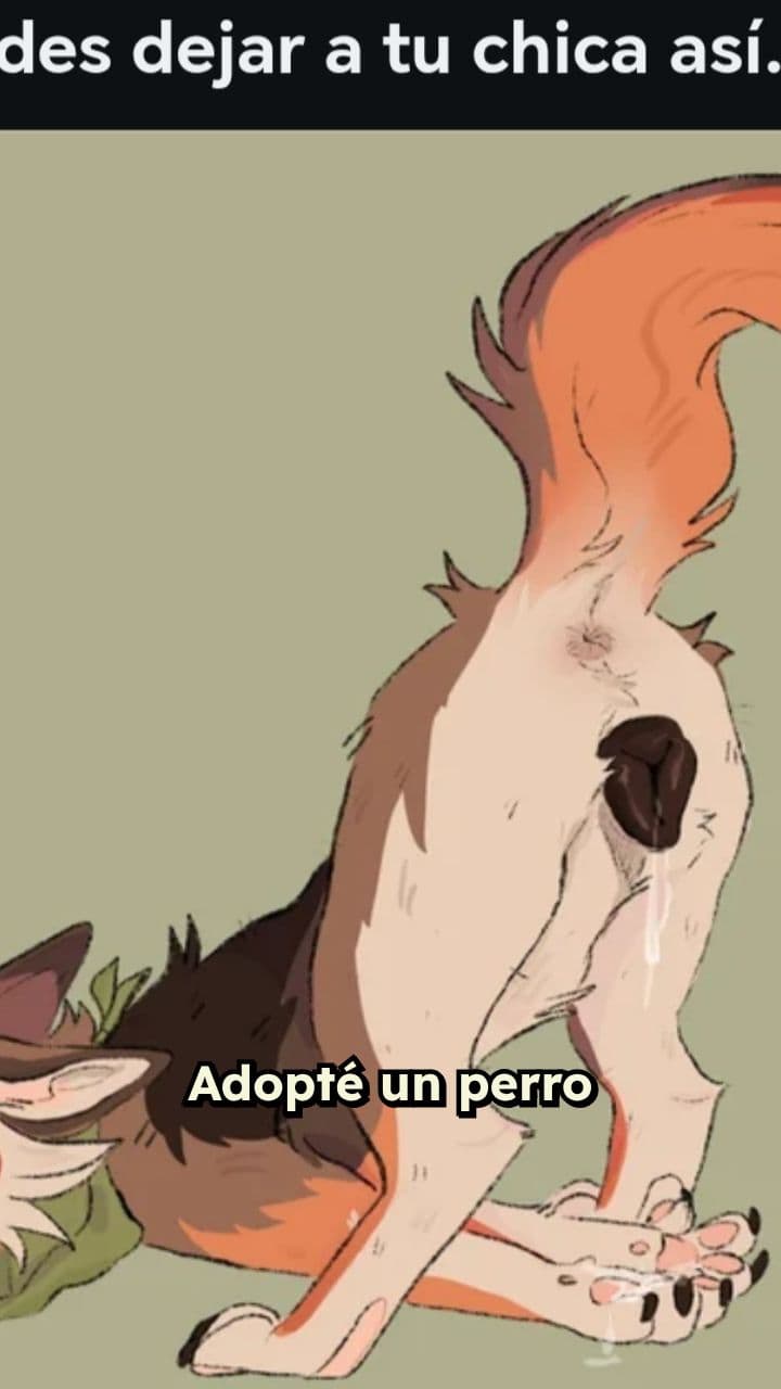 El amor que elige a su dueño