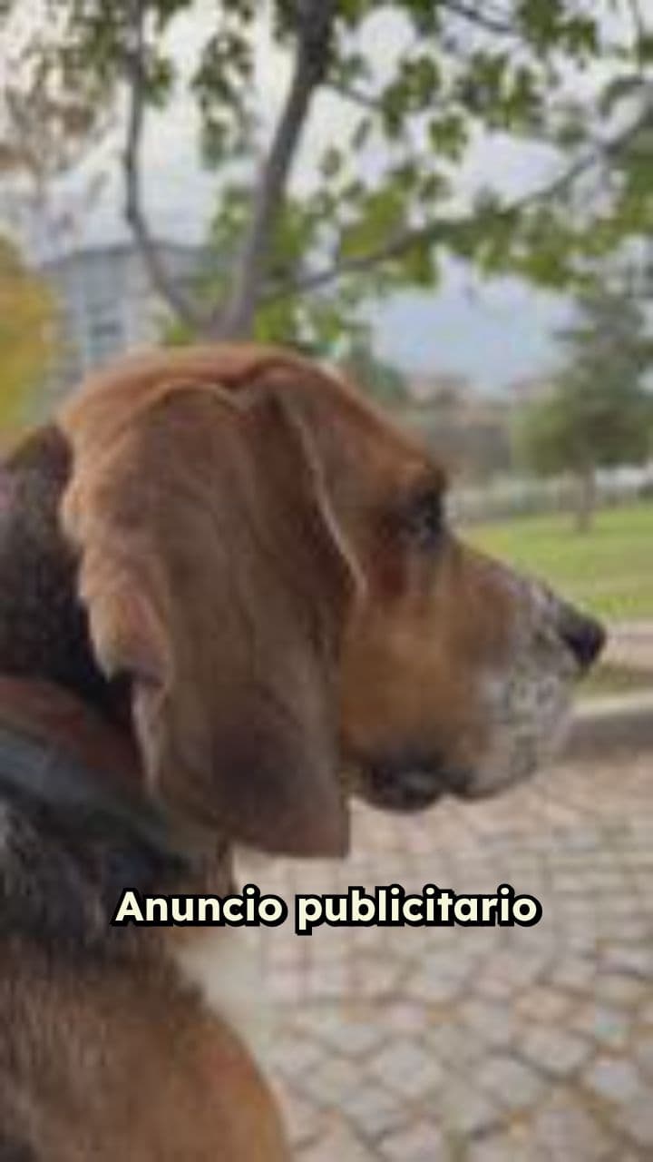 Delicioso pay de limón Snoopy