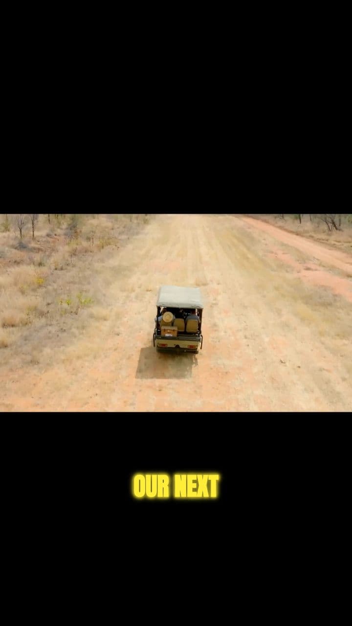 Rescuing Rhinos from a Helicopter