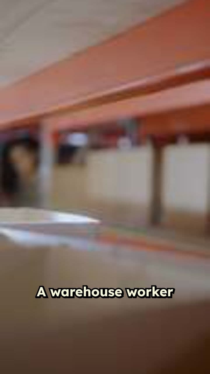 Kittens in the Rafters