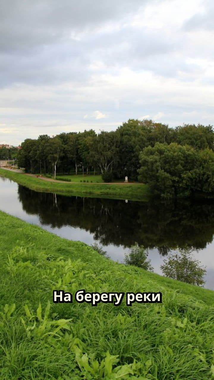 Гумусная атака на берегу реки