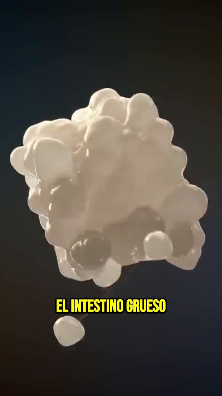 Tienes más bacterias que células en tu cuerpo