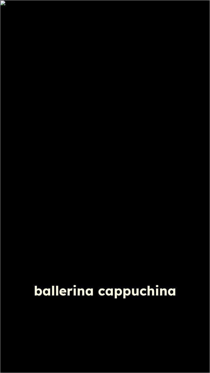 Ballerina Cappuchina's Playful Adventure