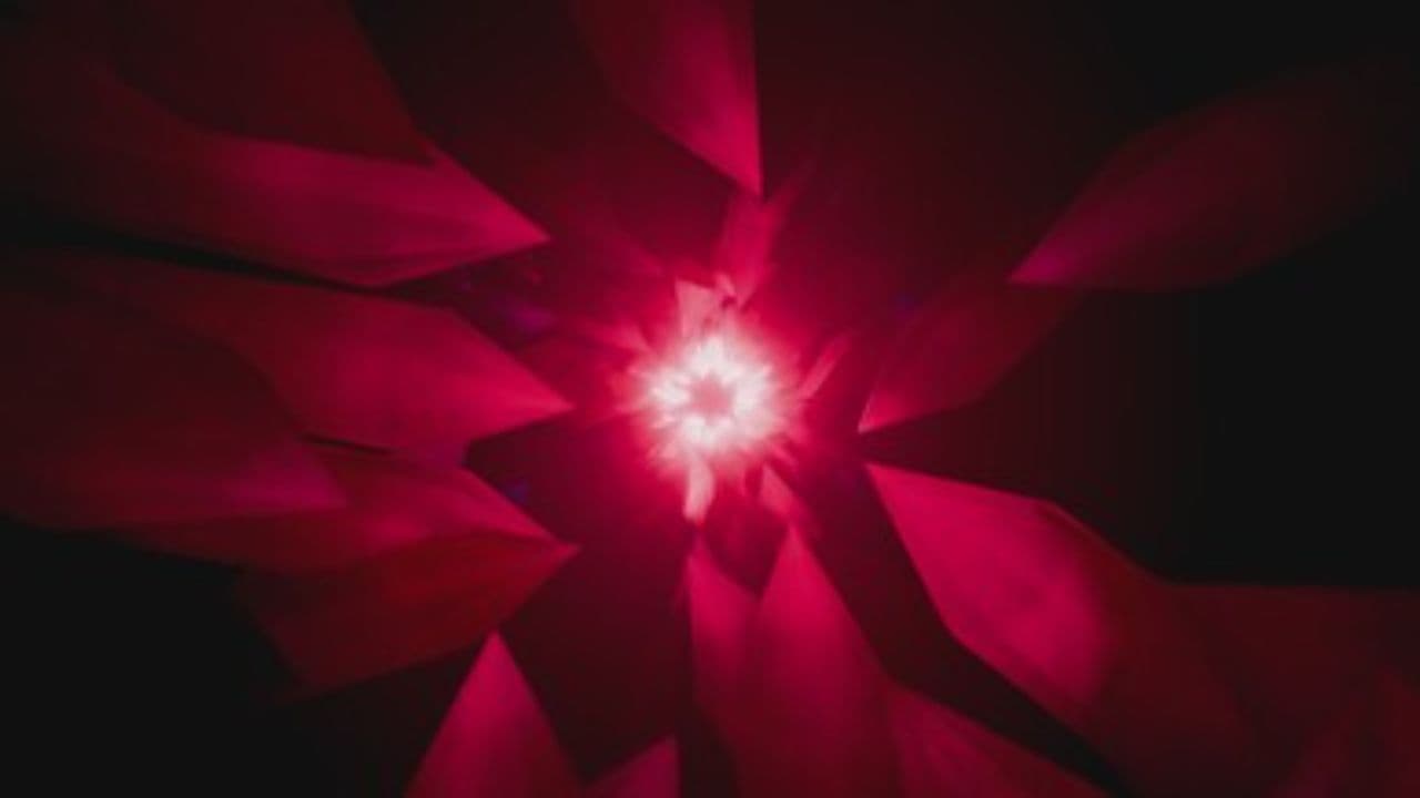 Последняя осень и энтропия