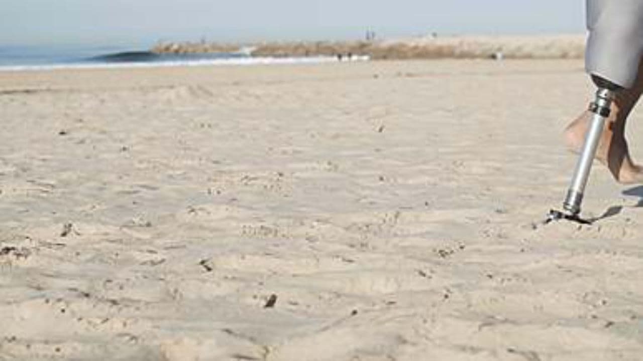 Embrace Success: No More Excuses