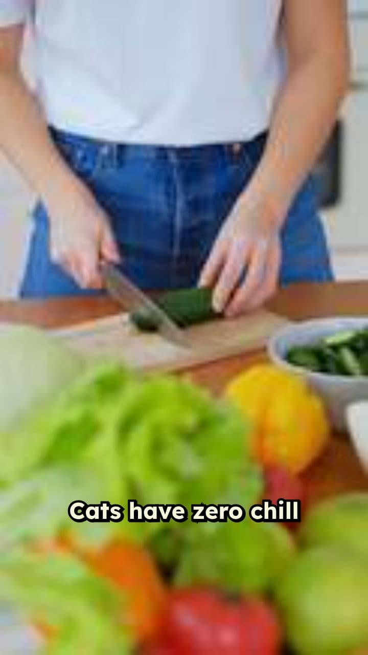 Cucumber Chaos: Cat's Hilarious Reaction