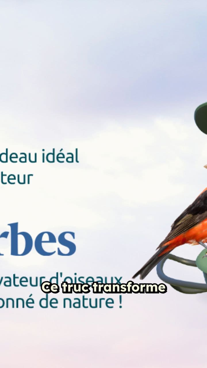 Birdfy 2 Pro : la nature en 2K