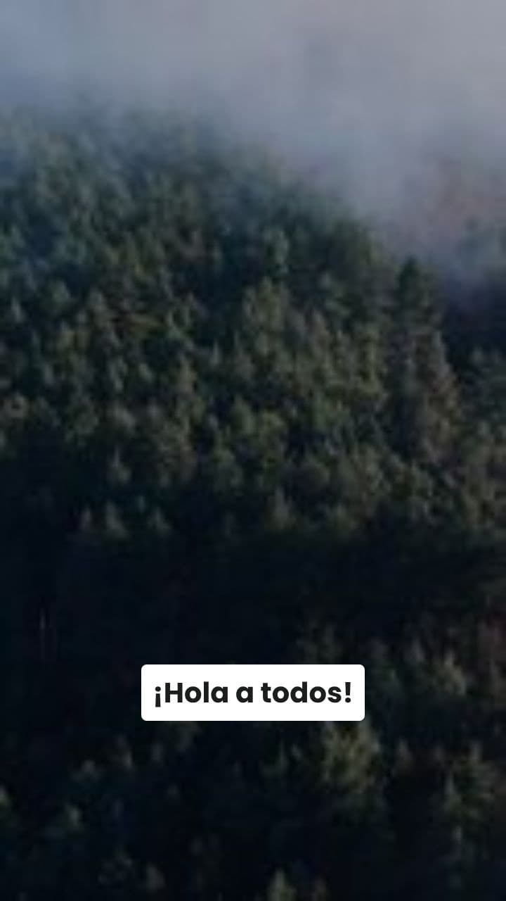 Liam's 4th Birthday Dinosaur Party Invitation