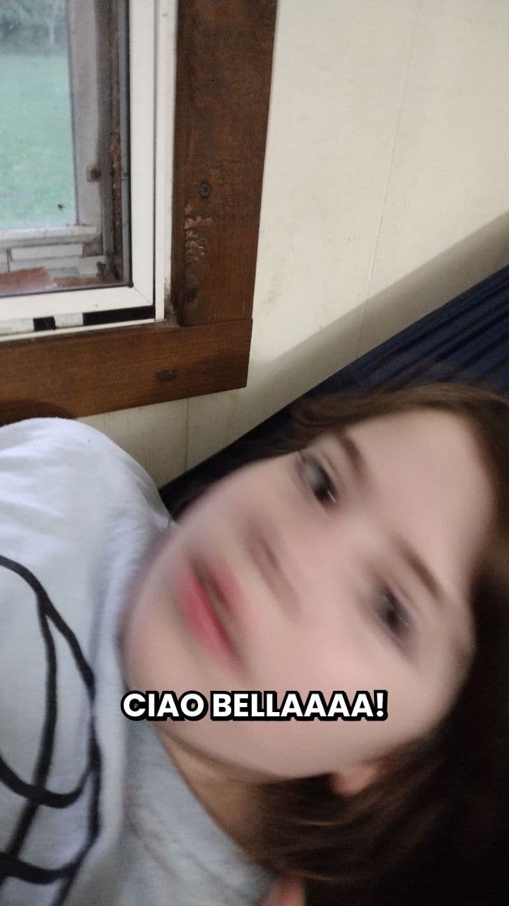 Avosharkio: Il Ballo Proibito sulla Spiaggia