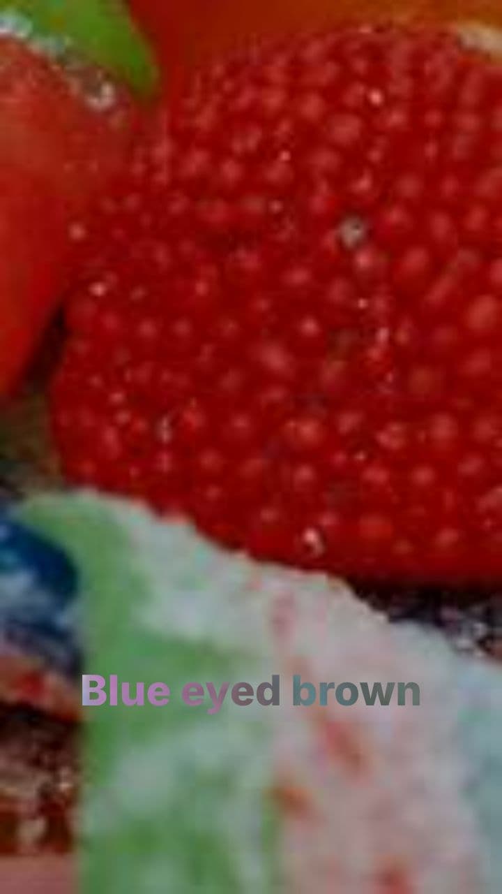 Gummy Adventures Through Time