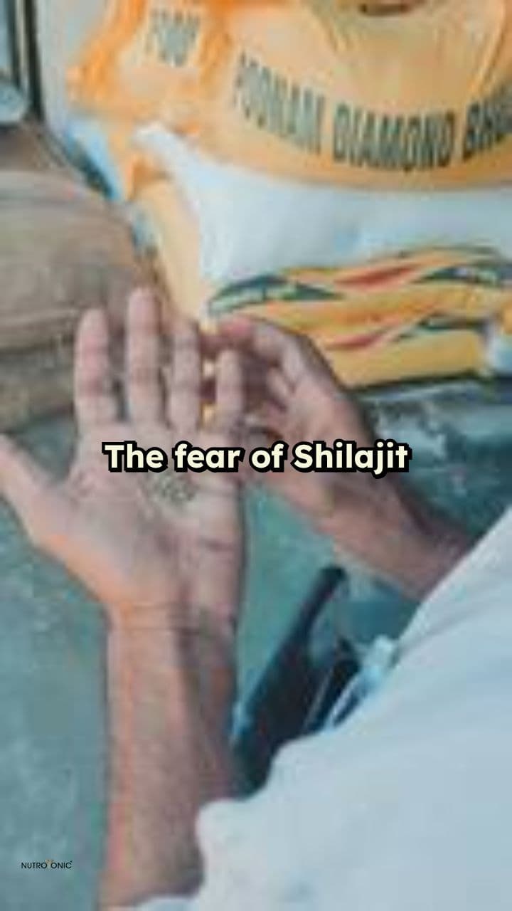 Trustworthy Shilajit Quality Matters