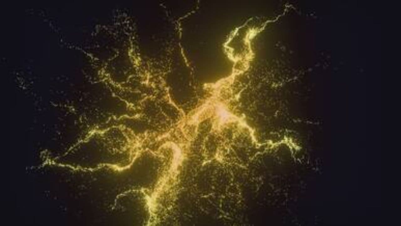 Свет пути внутри себя