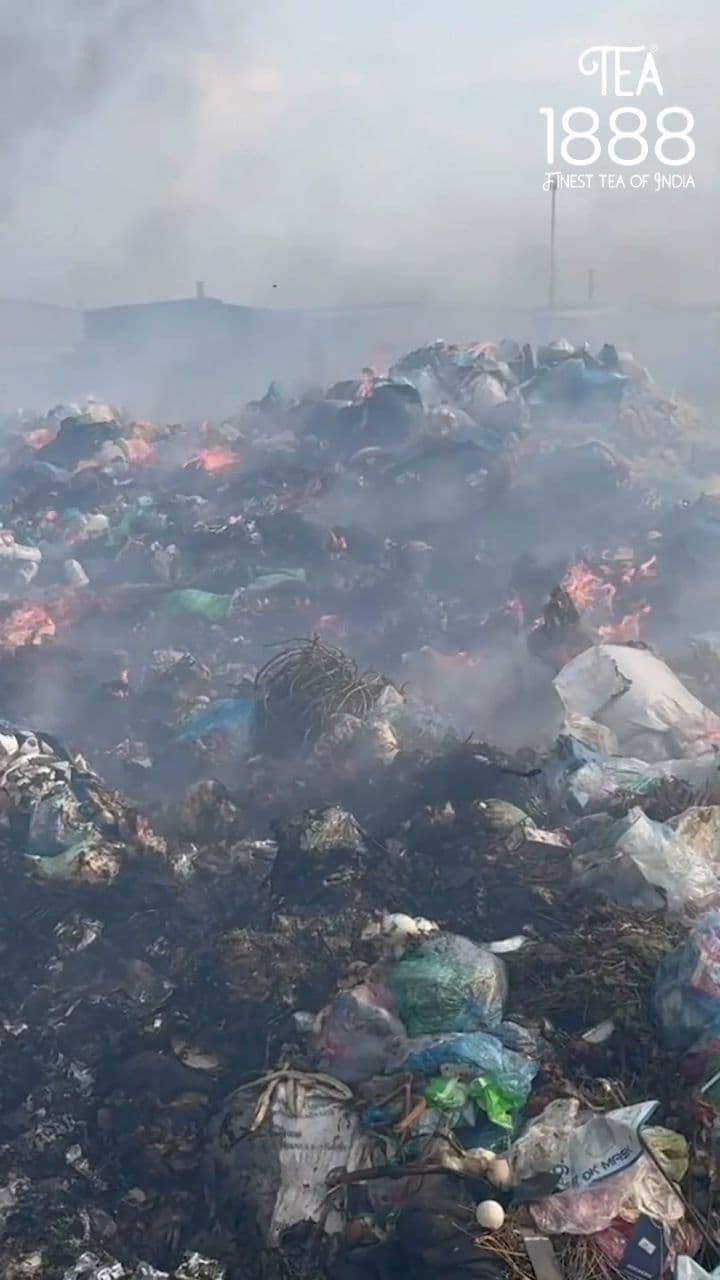 Transform Your Wellness with Kangra Green Tea