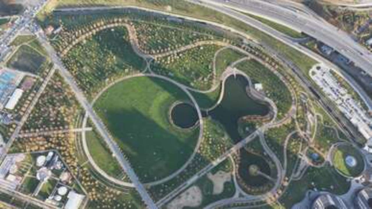 Sous le chêne, 2026 glisse