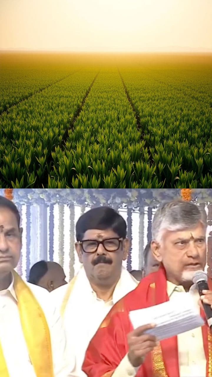 అమరావతి: పవిత్ర ప్రదేశం మరియు ఆశలు