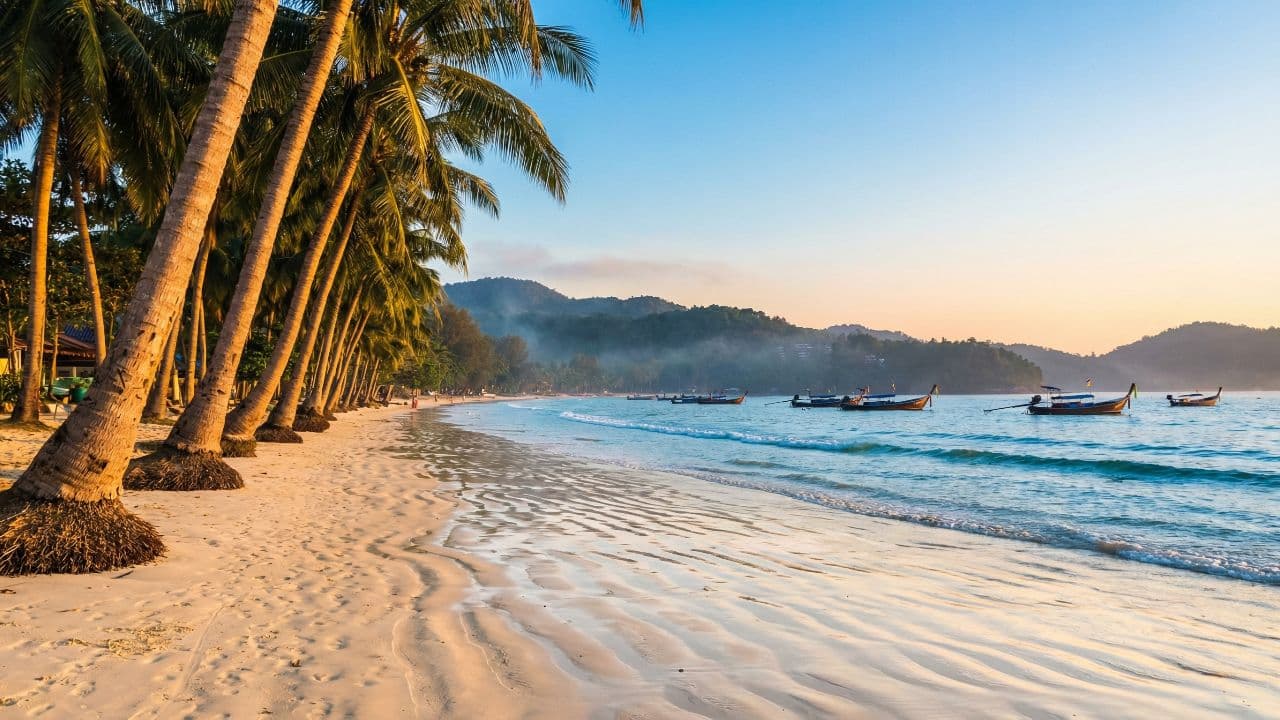 Dreams in a Foreign Land