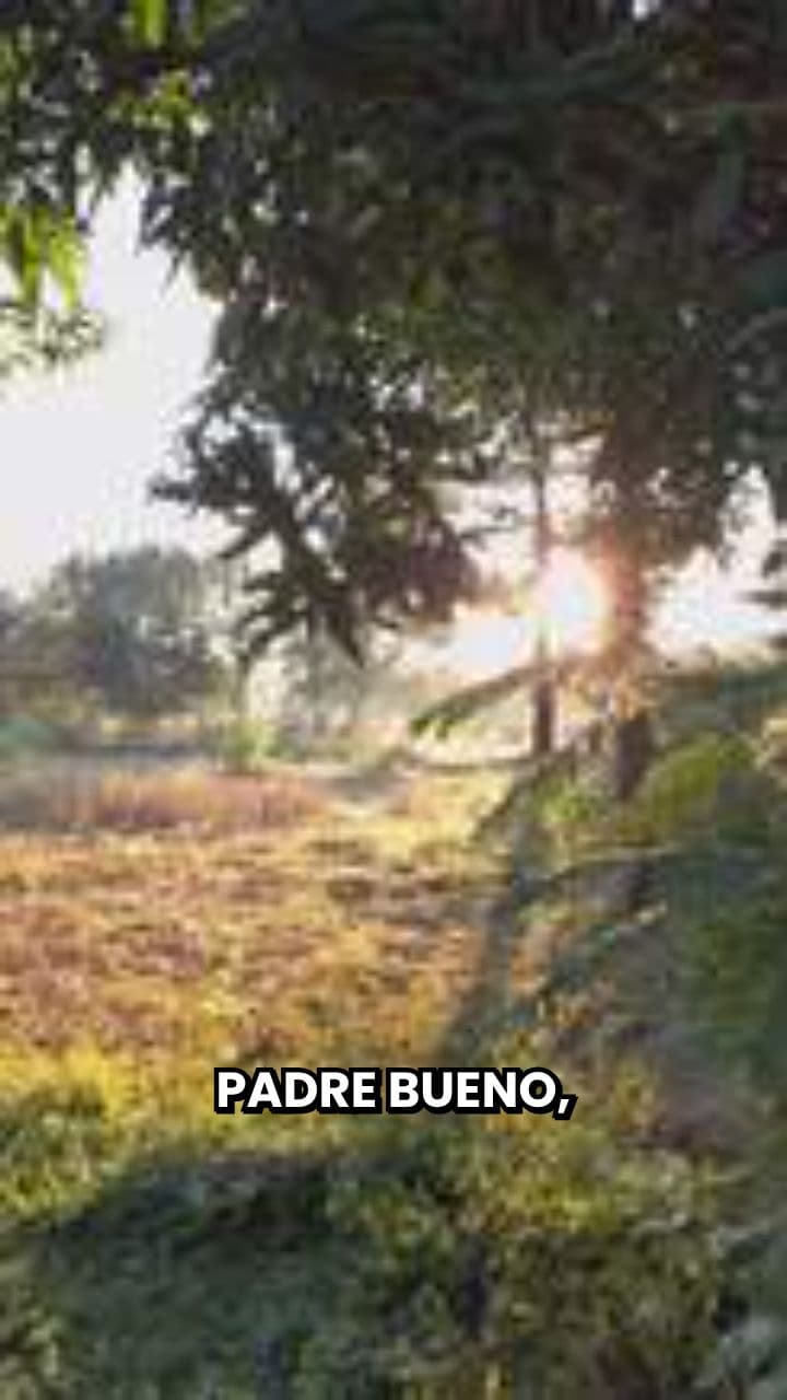 Oración por discernimiento y visión