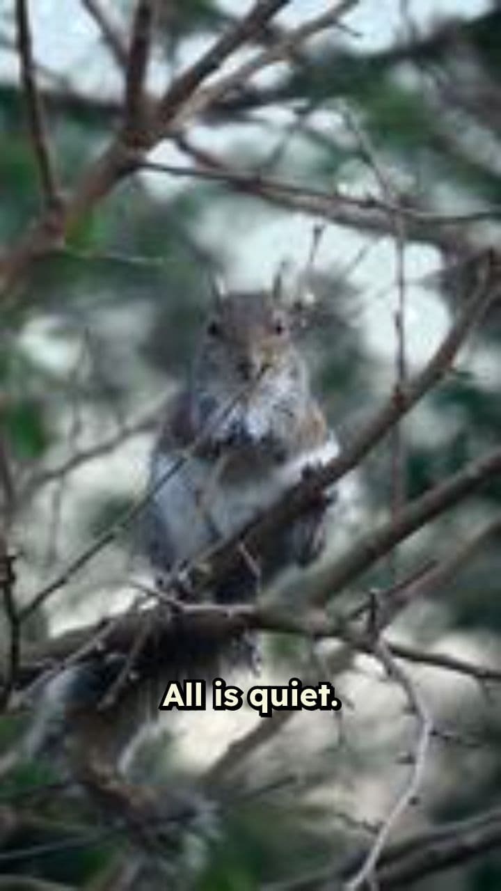 Right Medicine, Right Time