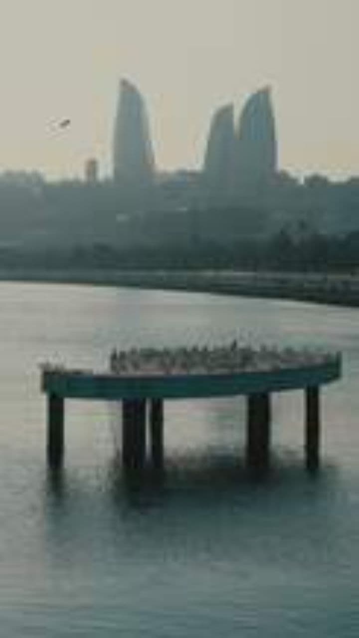 Mighty Crabs Rise Again