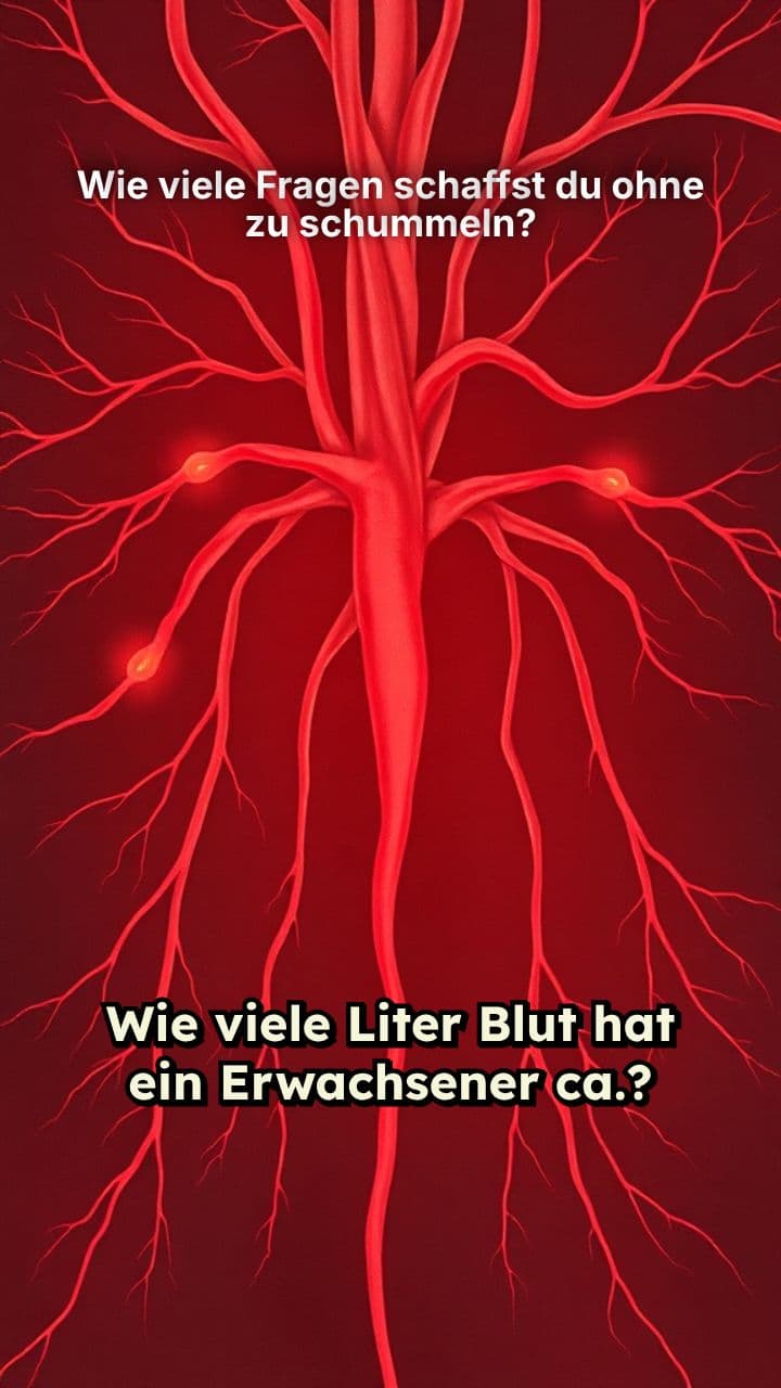 Wie viele Fragen schaffst du ohne zu schummeln?