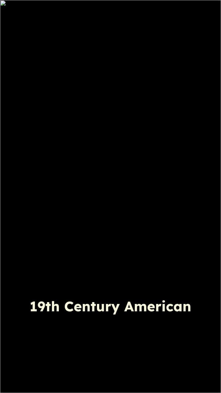 19th Century American Innovations and Tensions