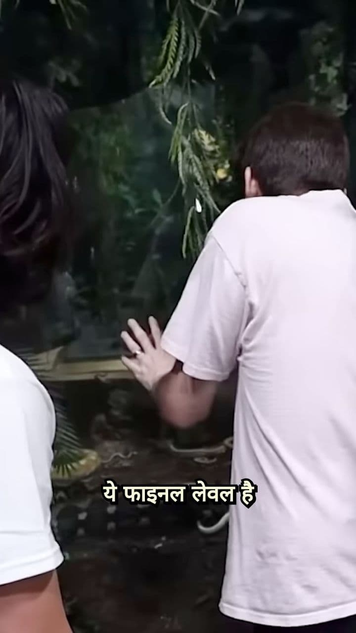 Final Level and Huge Stakes